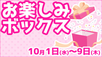 y݃{bNX